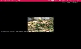 مقایسه فوکوس خودکار گلکسی نوت 9 با سایر پرچمداران