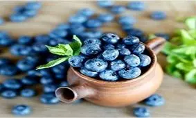 قوی ترین میوه چربی سوز