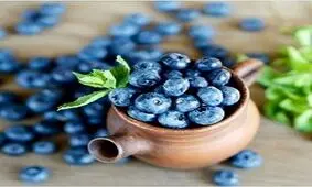 قوی ترین میوه چربی سوز