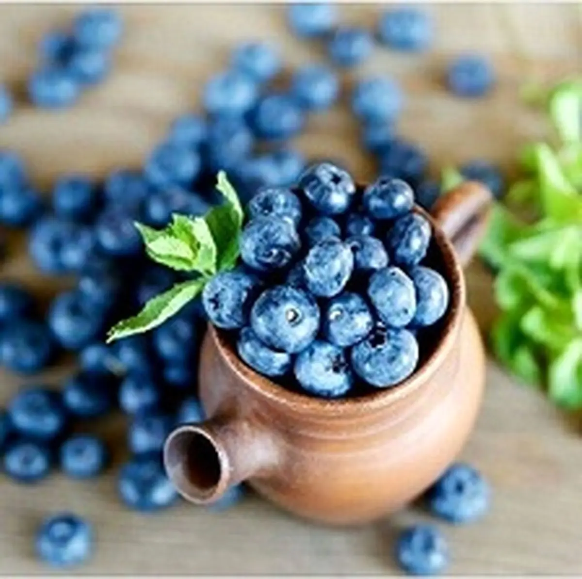 قوی ترین میوه چربی سوز