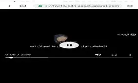 تشخیص عسل اصل و خالص با چند آزمایش ساده