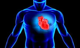 کدام روغن ها برای سلامتی مفید و مضر هستند؟