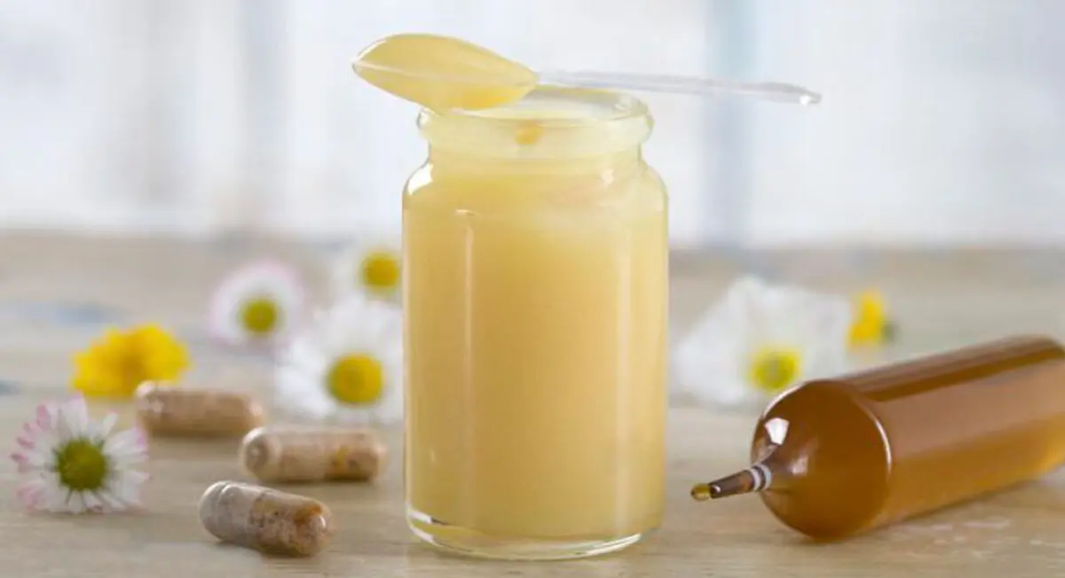 خواص بی نظیر ژل رویال که نمی‌دانستید!