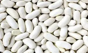 نحوه استفاده از عصاره لوبیای در کاهش وزن/ نگاهی گذرا به خواص عصاره لوبیای سفید