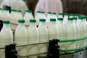 علل افزایش قیمت شیر پاستوریزه مشخص شد+ جزئیات