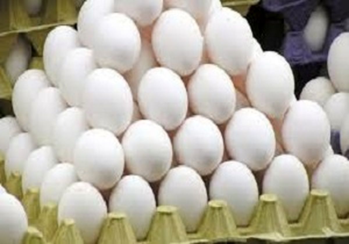 تولید۹۰۰۰ تن تخم‌مرغ در لرستان