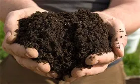 کشف بیش از یک تن خاک پیت قاچاق در اردبیل