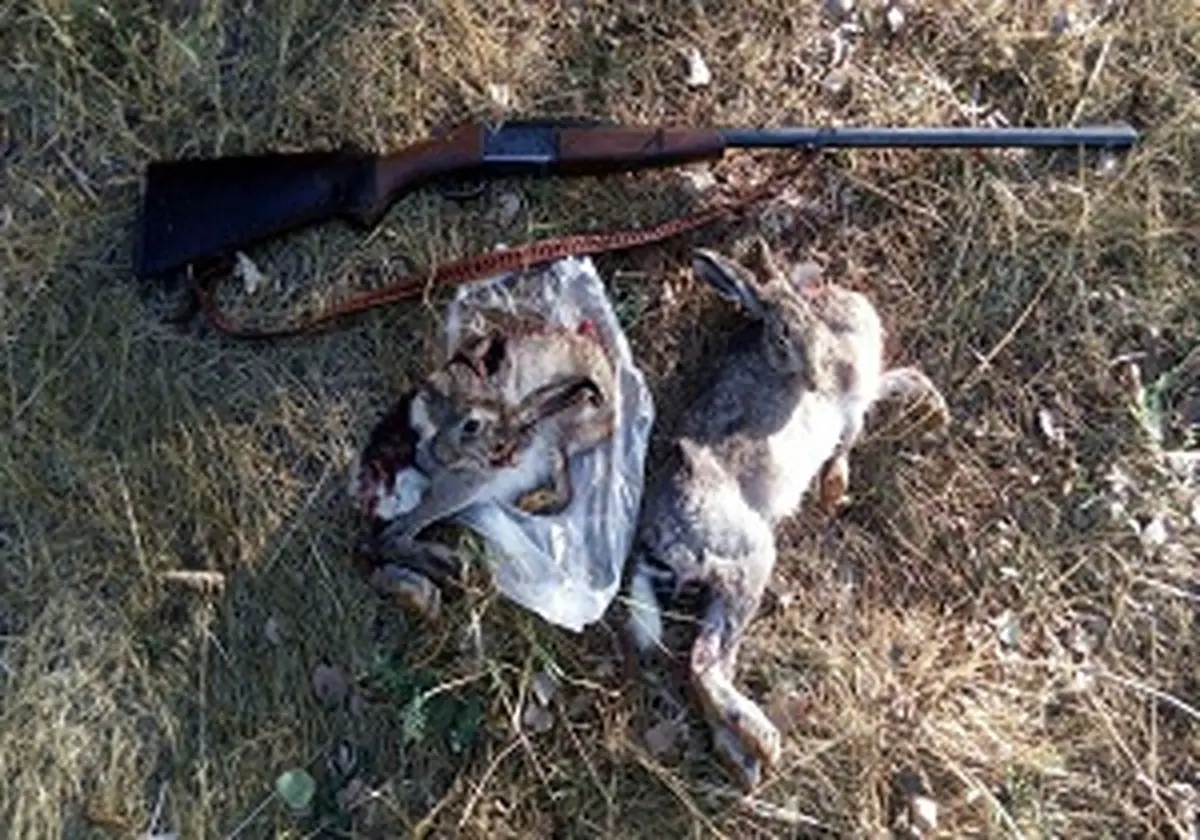 دستگیری دو شکارچی متخلف دراستان قزوین