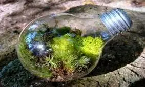 آموزش ساخت تراریوم های مینیاتوری بوسیله لامپ سوخته + ویدئو