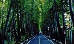 آخرین وضعیت اقساط اردوگاه باهنر تهران/ هتل نیمه‌ساز اردوگاه باهنر متعلق به سال ۹۱ است