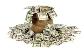 ۳۰ هزار دلار ارز قاچاق در البرز کشف شد