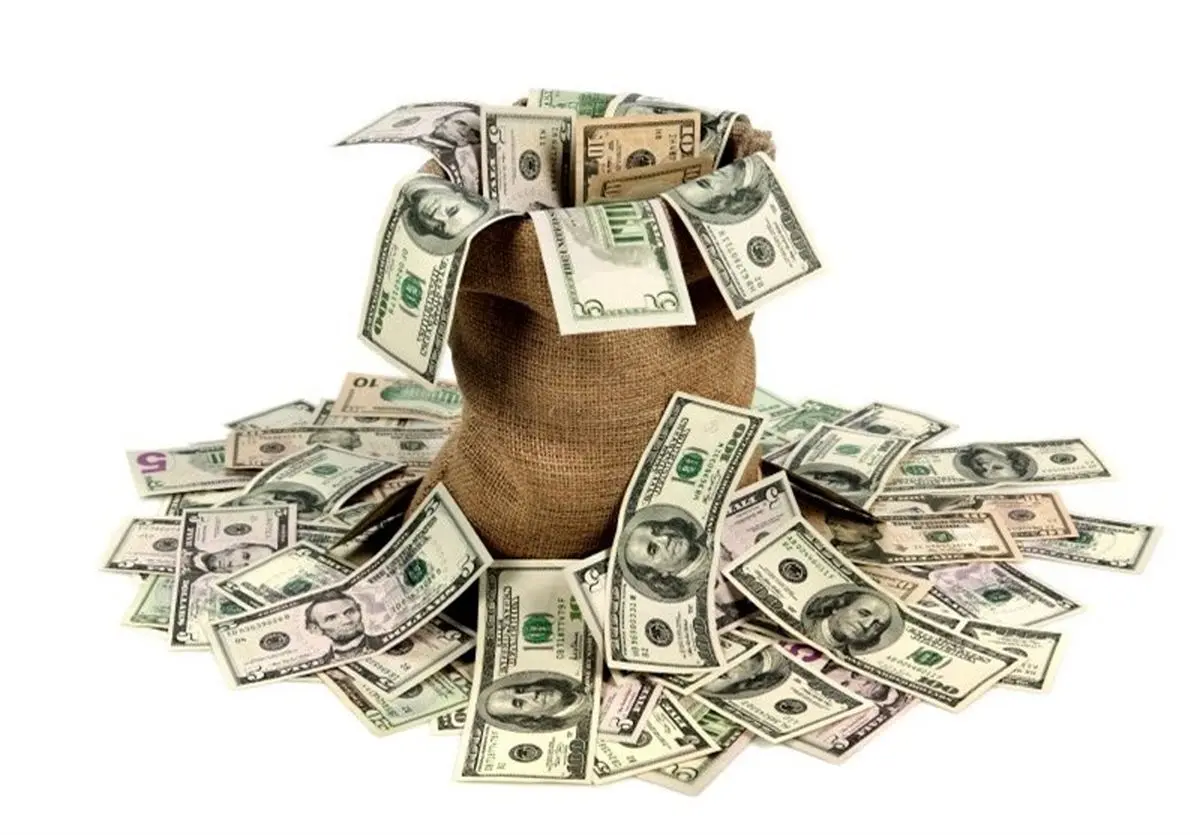 ۳۰ هزار دلار ارز قاچاق در البرز کشف شد