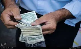 هجوم برای فروختن دلار خانگی/ دلال ها دلارهای خانگی را خریداری نمی کنند