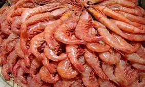 برداشت ۶۰۰ تن میگو از مزارع پرورش گلستان