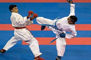 قهرمان مسابقات کاراته ناجا در اراک مشخص شد + عکس