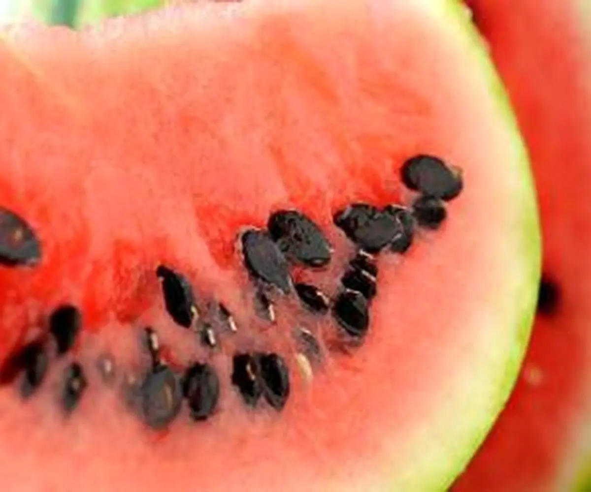 تخمه هندوانه چقدر خواص داشته و ما نمیدانستیم!