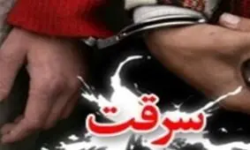 دستگیری سارق حرفه‌ای خودرو در استان گلستان