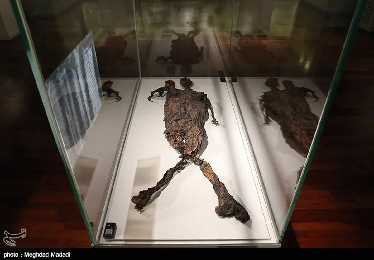نمایش یک مومیایی طبیعی در ایران + تصاویر