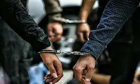 اشیاء تاریخی به دست قانون رسیدند