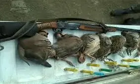 دستگیری سه شکارچی متخلف در شهرستان خلخال