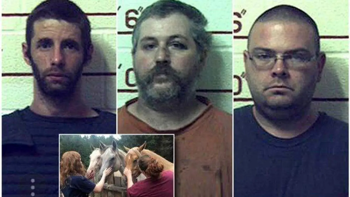 دستگیری ۳ آمریکایی به خاطر تجاوز به گاو و اسب ! + عکس