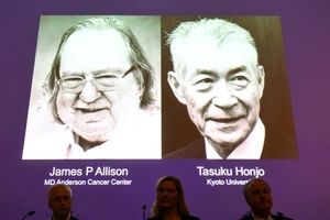 برندگان نوبل پزشکی 2018 معرفی شدند