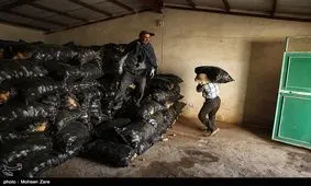 ۱۰ تن سیب‌زمینی فاسد در کردکوی کشف شد