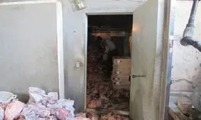 ۱۴ تن کله‌پاچه فاسد در رباط کریم کشف شد