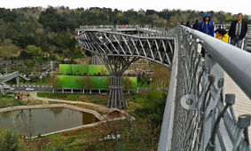 سقوط وحشتناک مرد جوان از روی پل طبیعت بر روی اتوبوس در اتوبان مدرس