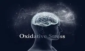 استرس اکسیداتیو چیست و چه تاثیرات مخربی بر بدن می گذارد؟