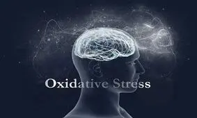 استرس اکسیداتیو چیست و چه تاثیرات مخربی بر بدن می گذارد؟