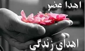 اهدای اعضای بیمار بابلی جان ۳ نفر را نجات داد