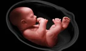 علائم جنین مرده در شکم مادر چیست؟