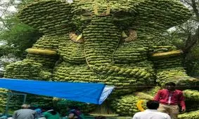 خلاقیت جالب یک هندی برای فروختن موز! +عکس