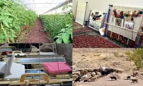 وظایف ۱۵مرحله‌ای متقاضیان تسهیلات اشتغال روستایی