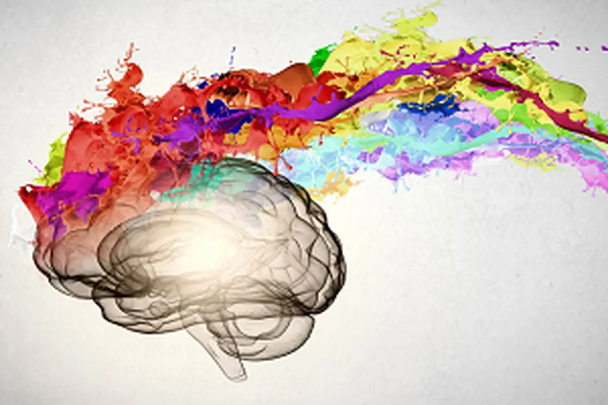 بهبود حافظه با یک تغییر 10 دقیقه ای روزانه