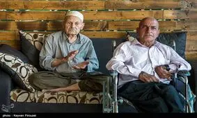 ۱۲ توصیه ضروری برای حفظ سلامتی سالمندان از منظر طب سنتی