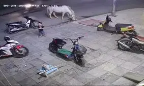 لگد زدن اسب به کودک خردسال
