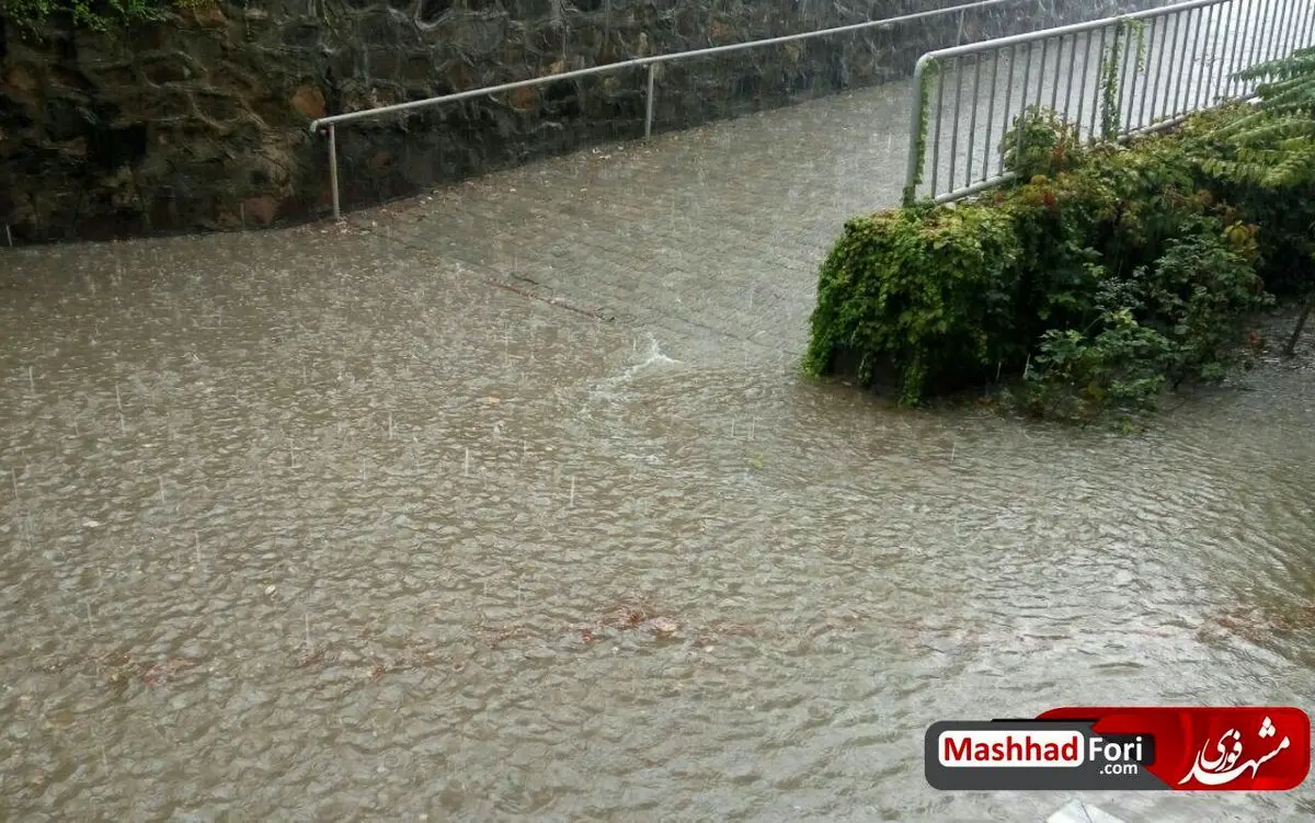 بارش باران شدید در خیابان مجیدیه مشهد