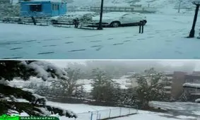 دیزین سفید پوش شد