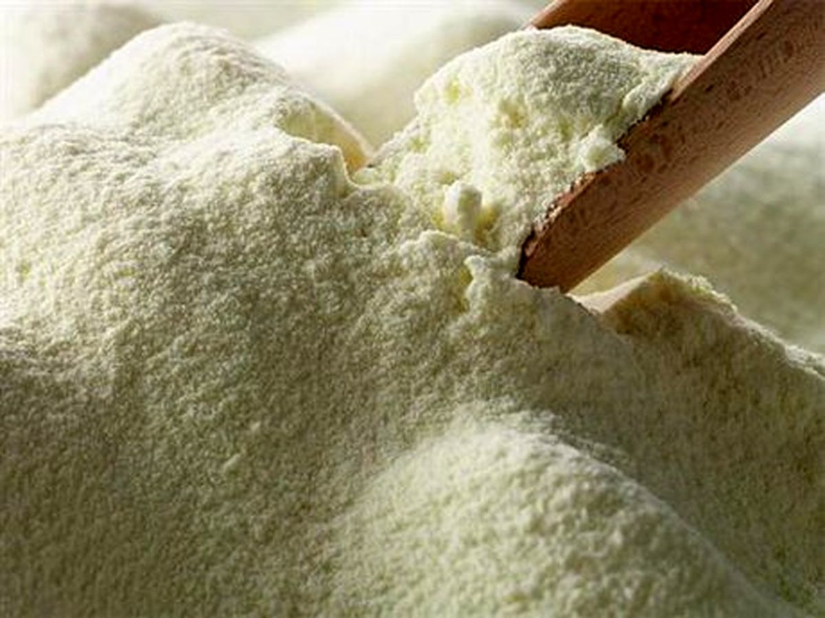 پیگیری حجتی برای آزادی صادرات شیر خشک