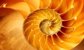 چرا دو به علاوه دو همیشه چهار می‌شود؟