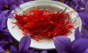 افغانستان واردات زعفران را ممنوع کرد