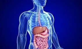 ترفند‌های معجزه آسا برای تخلیه روده در ۲۰ دقیقه+ دستورالعمل