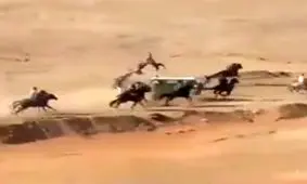 برخورد سوارکاران با خودرو در حین مسابقه!