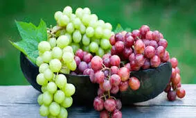 پیشگیری از سرطان ریه با انگور