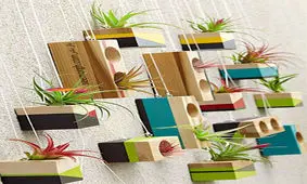 گل های آپارتمانی را با این ایده ها زیبا و متفاوت بچینید!