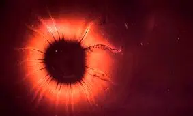 کشف شواهدی از نقش سلول‌های «زامبی» در پیری

