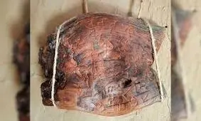 اسرار 7300 ساله؛ آیا لوح دیسپیلیو قدیمی ترین نوشتار اروپاست؟ 