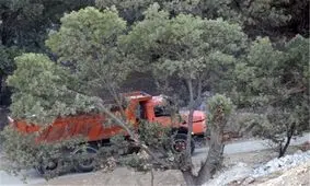 "بیکاران" در کهگیلویه و بویراحمد برای امرار و معاش منابع طبیعی را تخریب می‌کنند